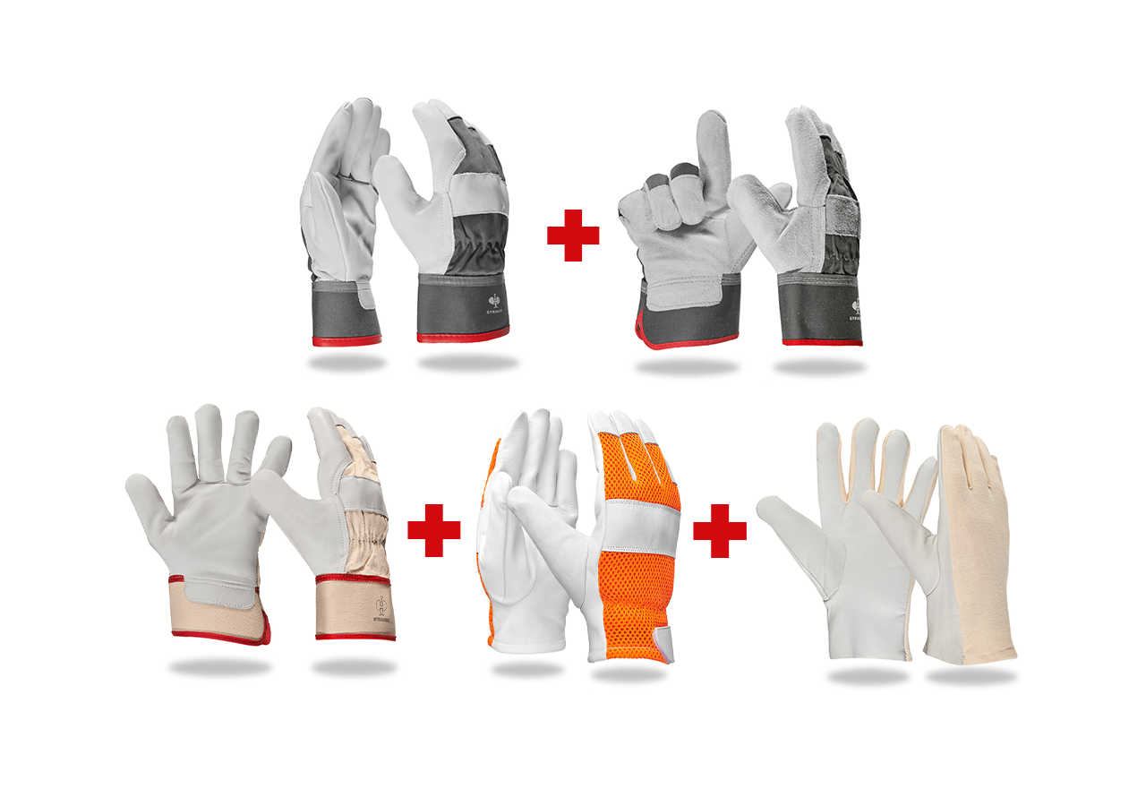 Ochranné pomôcky: Profesionálna súprava kožených rukavíc II