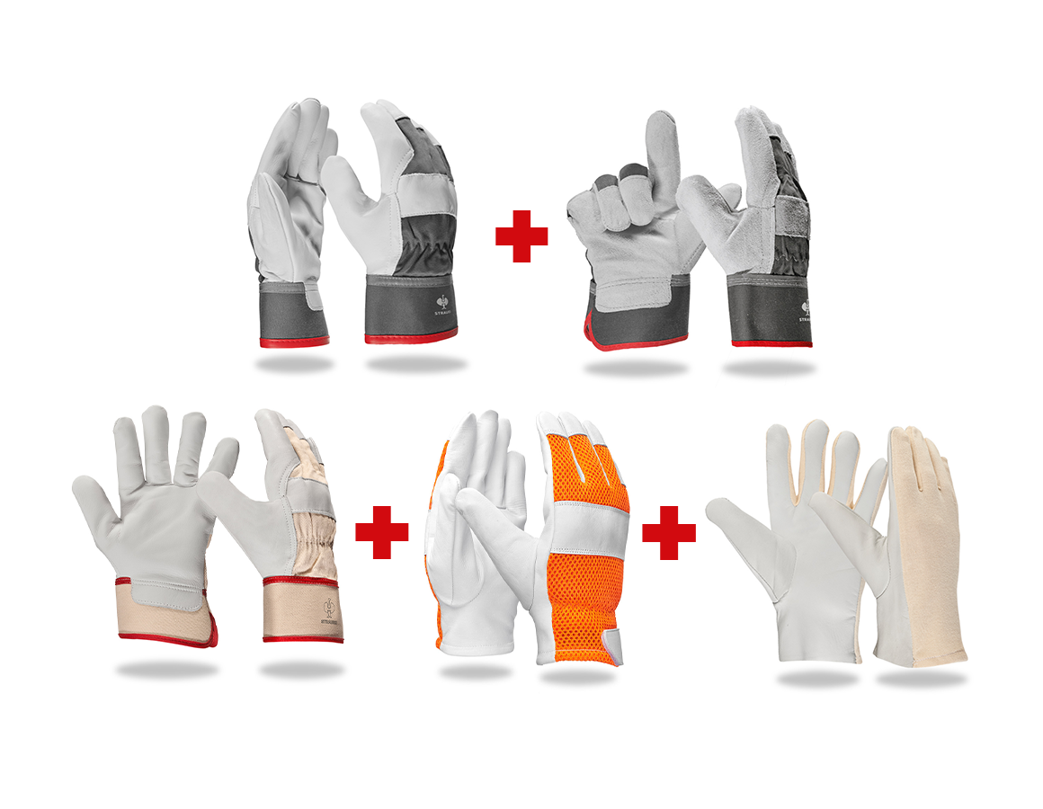 Ochranné pomôcky: Profesionálna súprava kožených rukavíc II