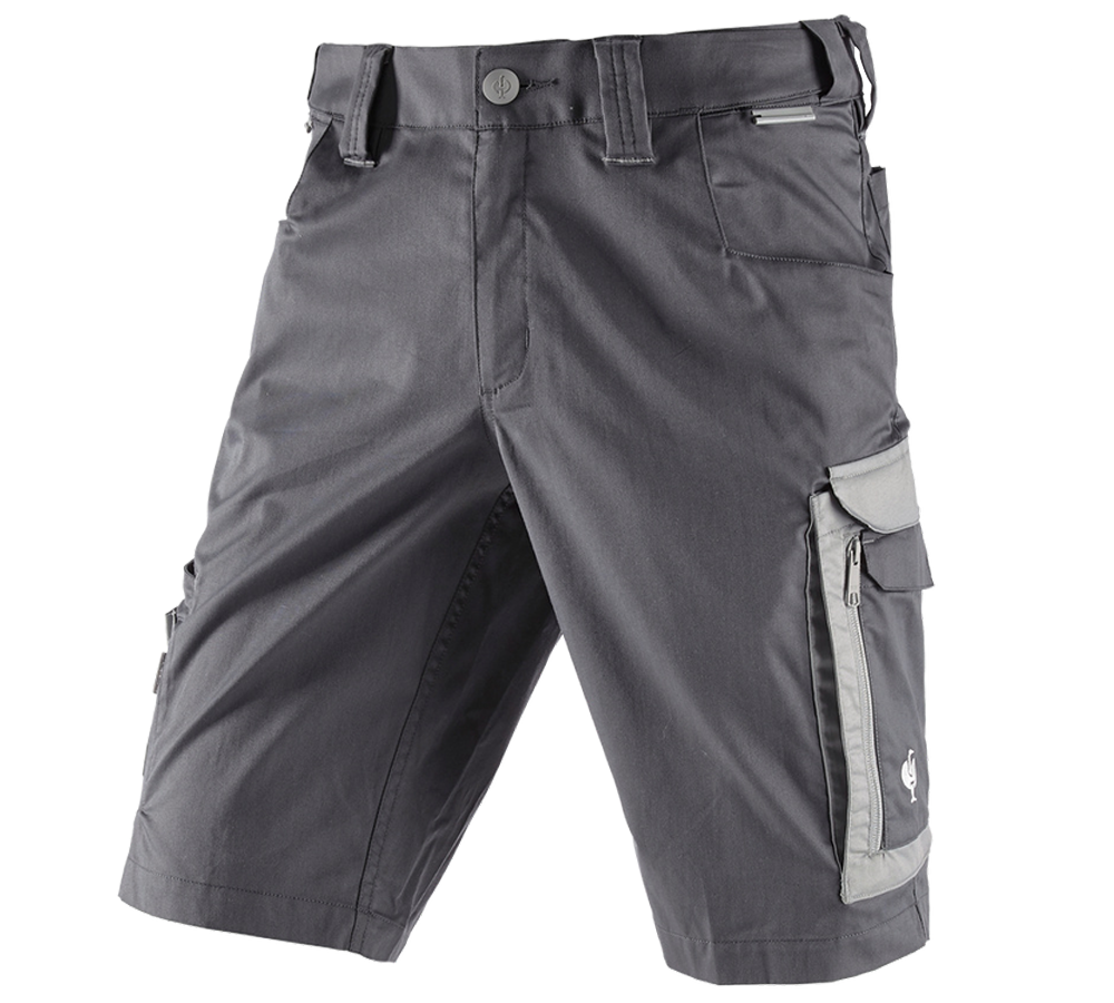 Pracovné nohavice: Šortky e.s.concrete light + antracitová/perlová sivá