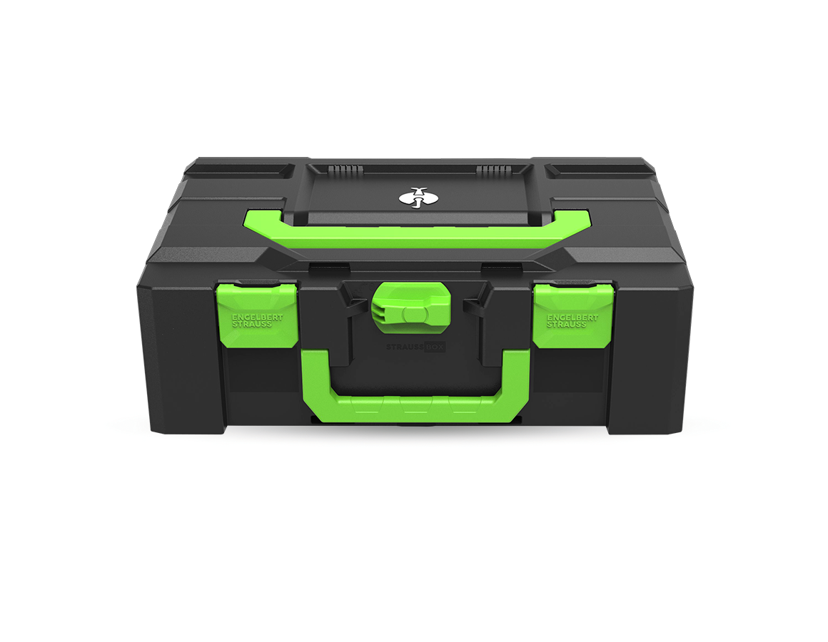 Systém STRAUSSbox: STRAUSSbox 165 large Color + morská zelená
