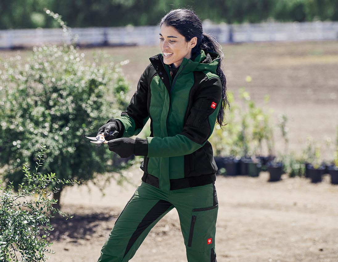 Lesníctvo / Poľnohospodárstvo: Zimná softshellová bunda e.s.vision, dámska + zelená/čierna 1