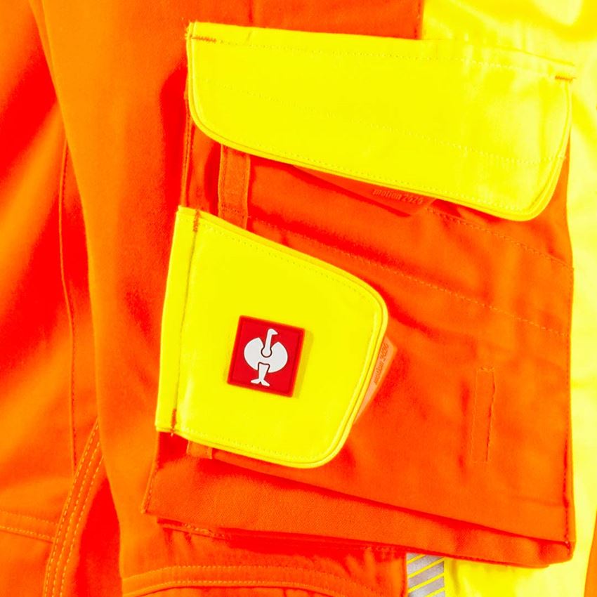 Témy: Reflexné ochranné nohavice e.s.motion 2020 Zima + výstražná oranžová/výstražná žltá 2