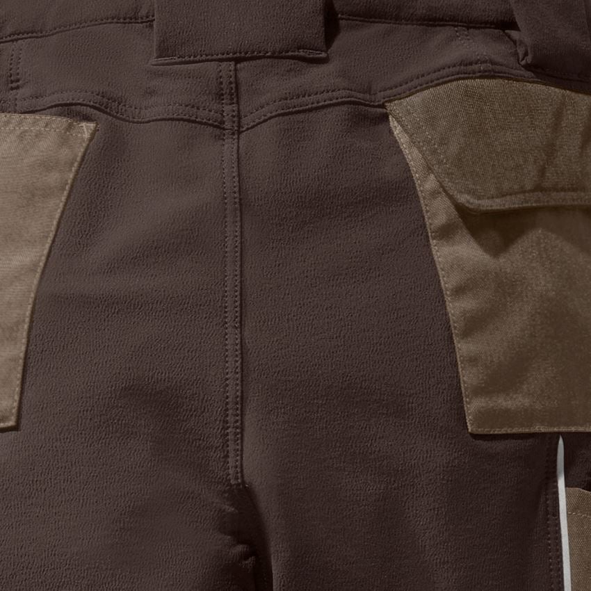 Pracovné nohavice: Funkčné cargo nohavice e.s.dynashield, dámske + lieskový oriešok/gaštanová 2
