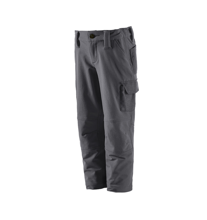 Nohavice: Funkčné cargo nohavice e.s.dynashield solid, d + antracitová 2
