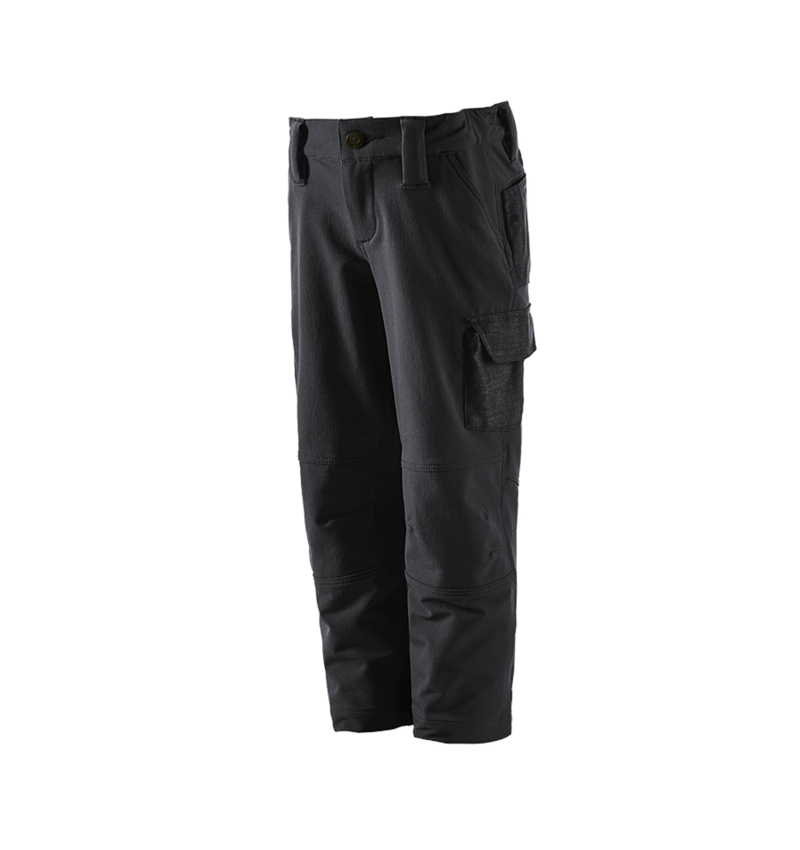 Nohavice: Funkčné cargo nohavice e.s.dynashield solid, d + čierna 2