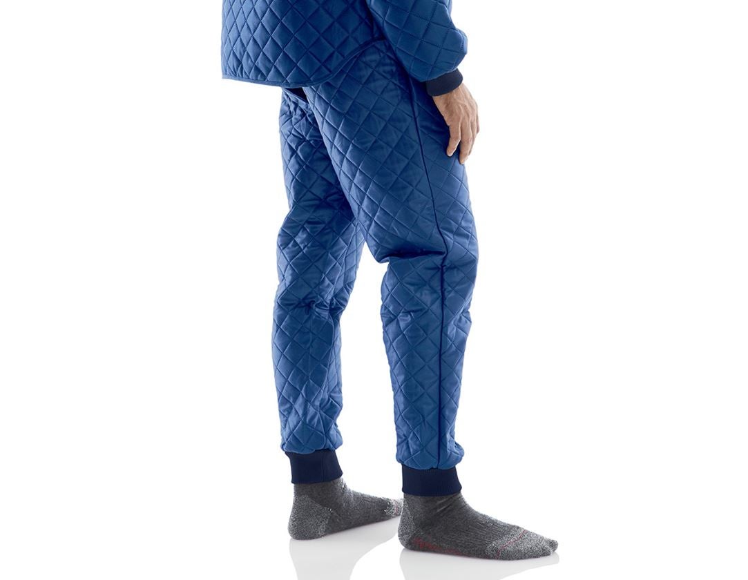 Spodná bielizeň | Termo oblečenie: Termo nohavice + námornícka modrá
